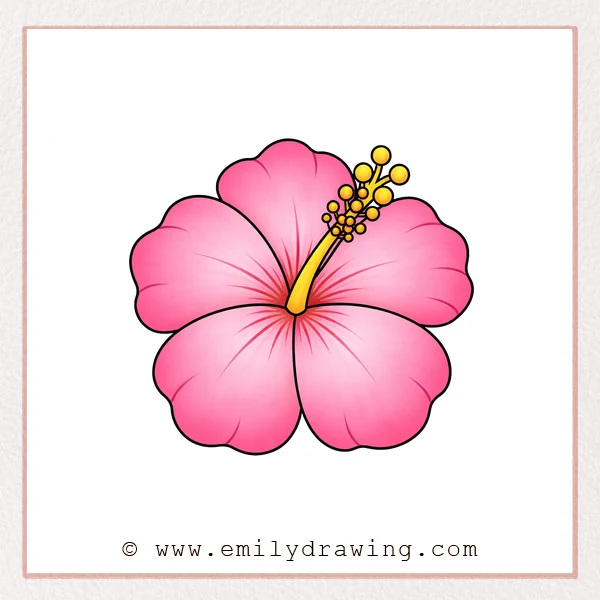 Preview of Hawaiian Flower drawing